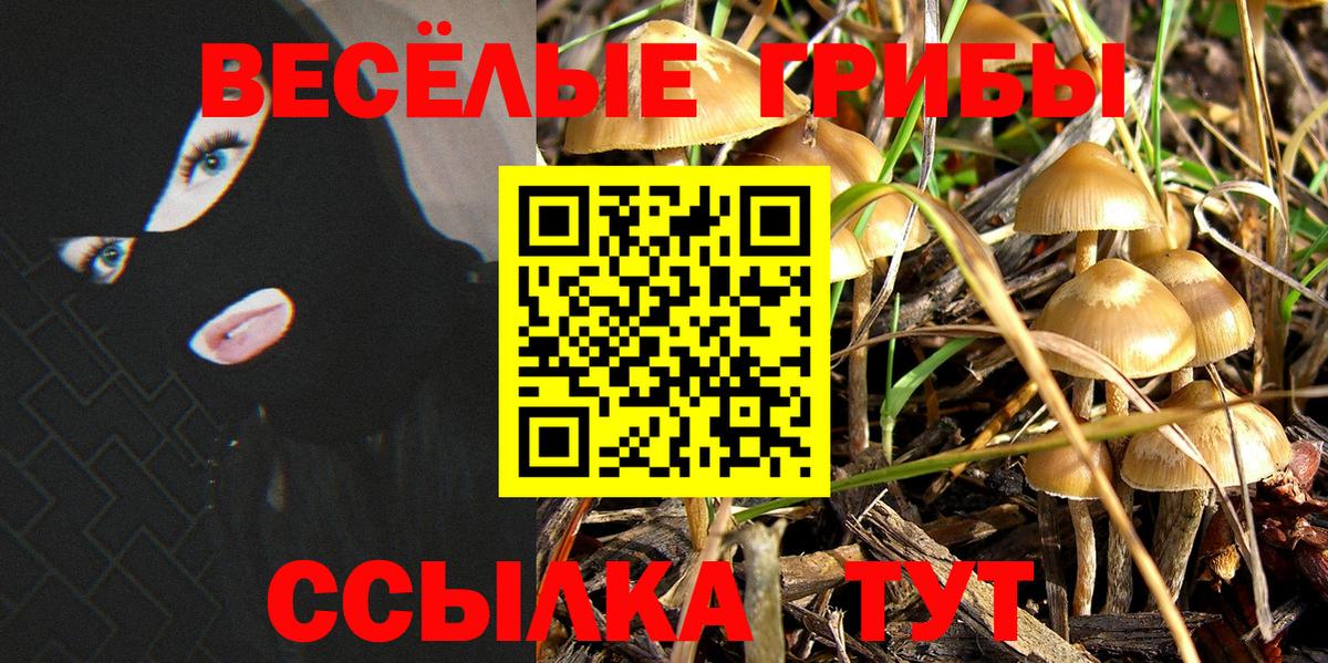 Псилоцибиновые грибы мицелий Борзя